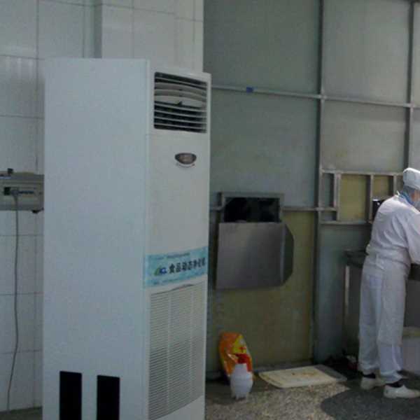 深圳食品正负离子空气杀菌器